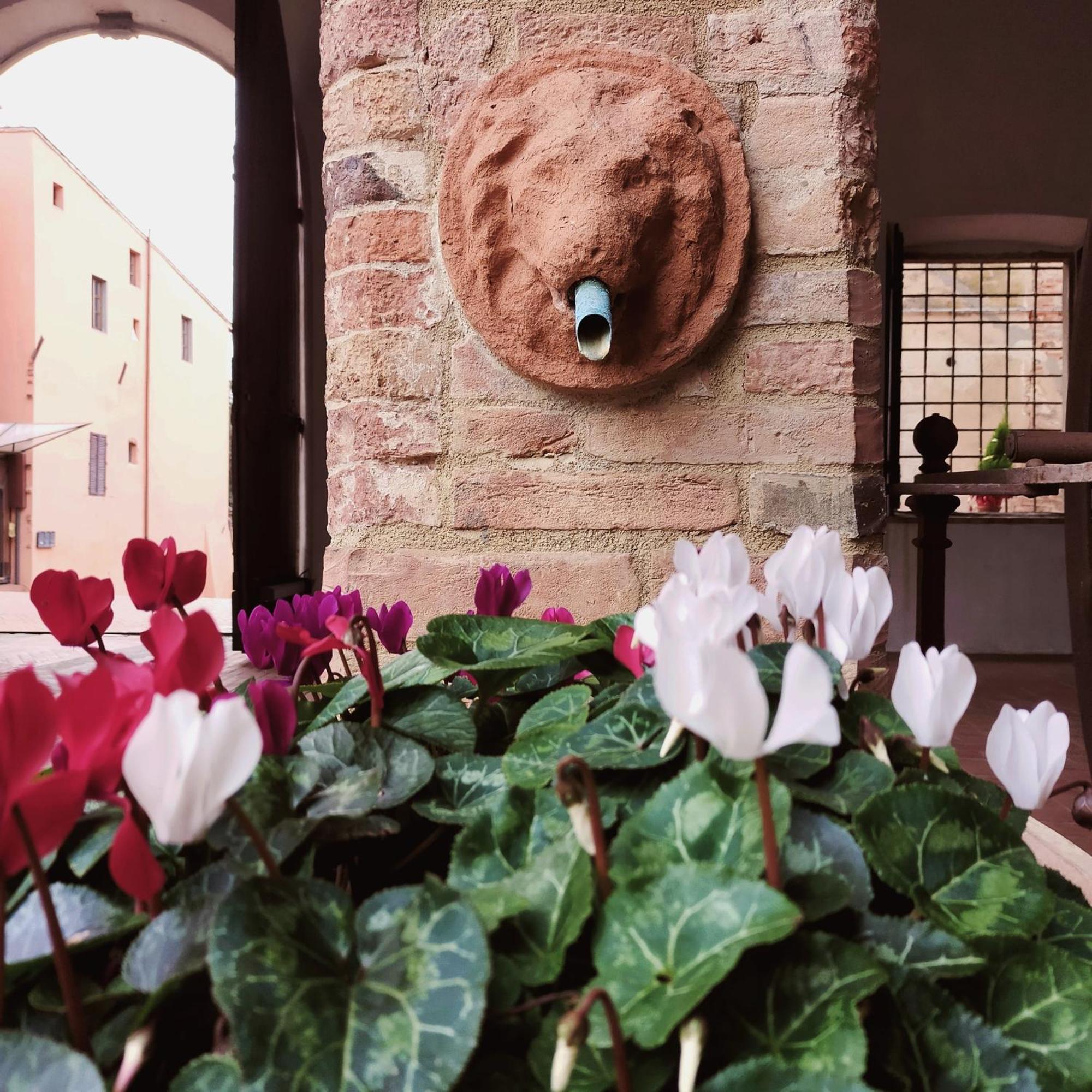 Palazzo Stiozzi Ridolfi Apartment Certaldo Luaran gambar