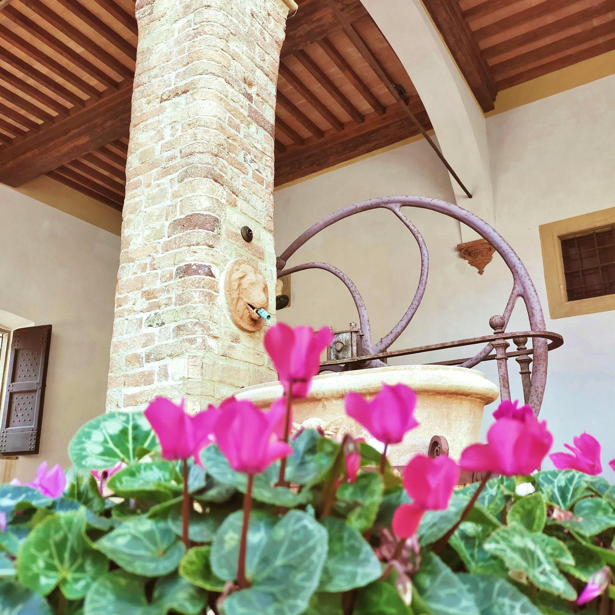 Palazzo Stiozzi Ridolfi Apartment Certaldo Luaran gambar