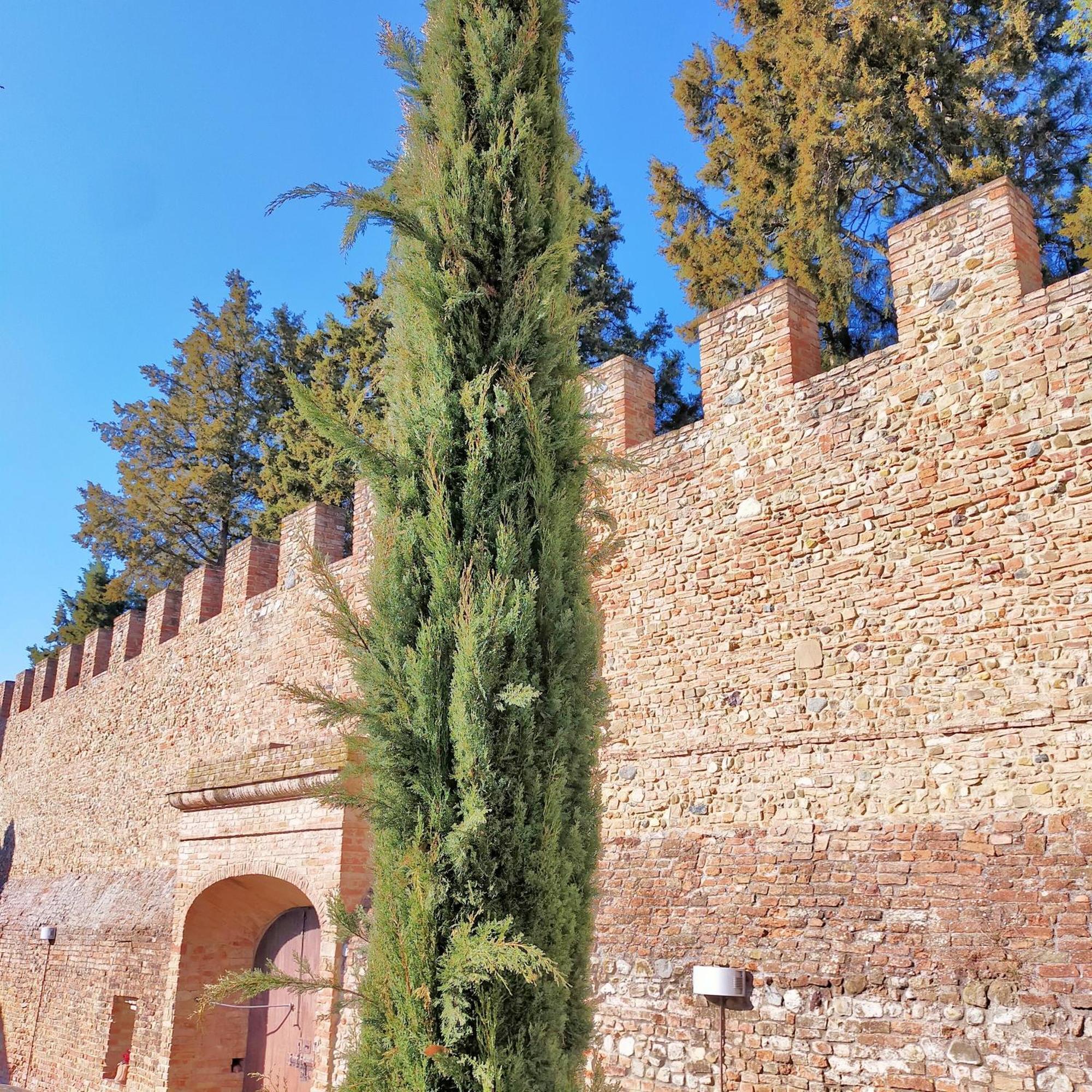 Palazzo Stiozzi Ridolfi Apartment Certaldo Luaran gambar